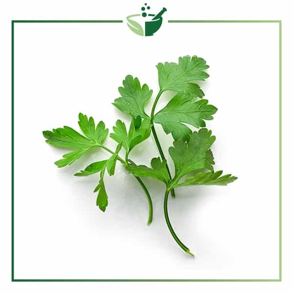 Parsley Infused Oil 
